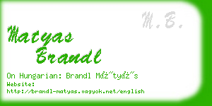 matyas brandl business card